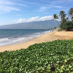 Meet your Posher, Carolina